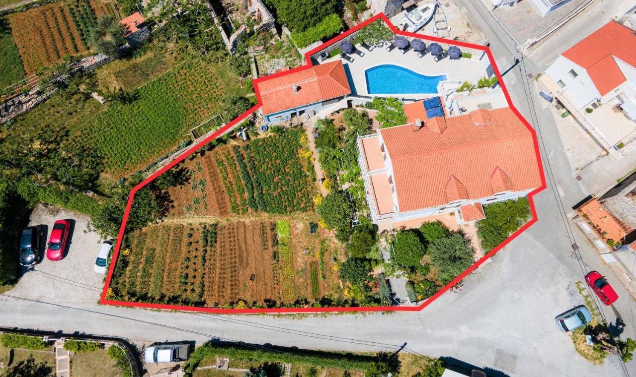 Villa Martinovic Dubrovnik Extérieur photo