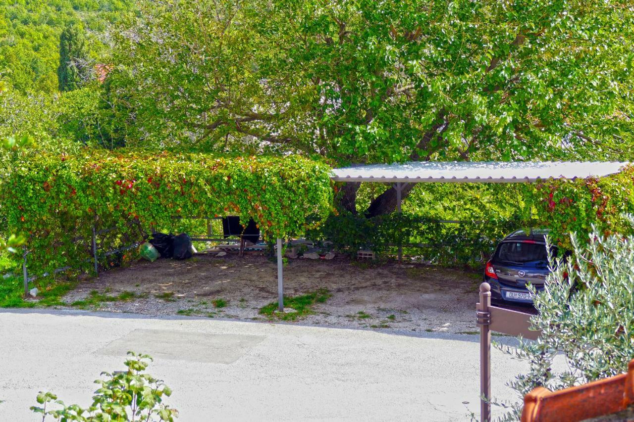 Villa Martinovic Dubrovnik Extérieur photo